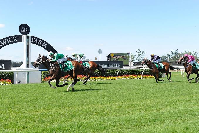 Real estate agent Warwick Farm – Warwick Farm Racecourse and suburb overview